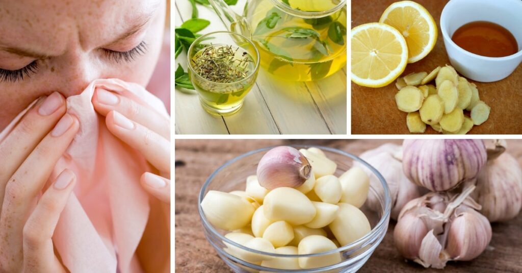 Makanan Sehat untuk Meredakan Gejala Alergi